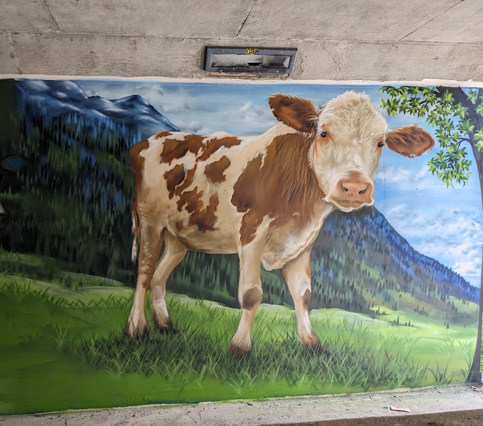 Realistic graffiti mural of a brown and white cow standing in a green, grassy field with a backdrop of blue mountains and trees painted at the North Kessock underpass