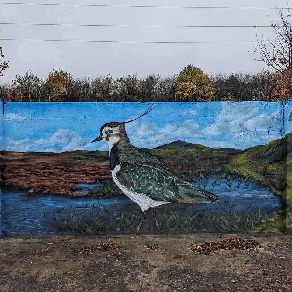 Mural painting of a Northern Lapwing with a long crest standing in a marsh landscape against a blue sky.