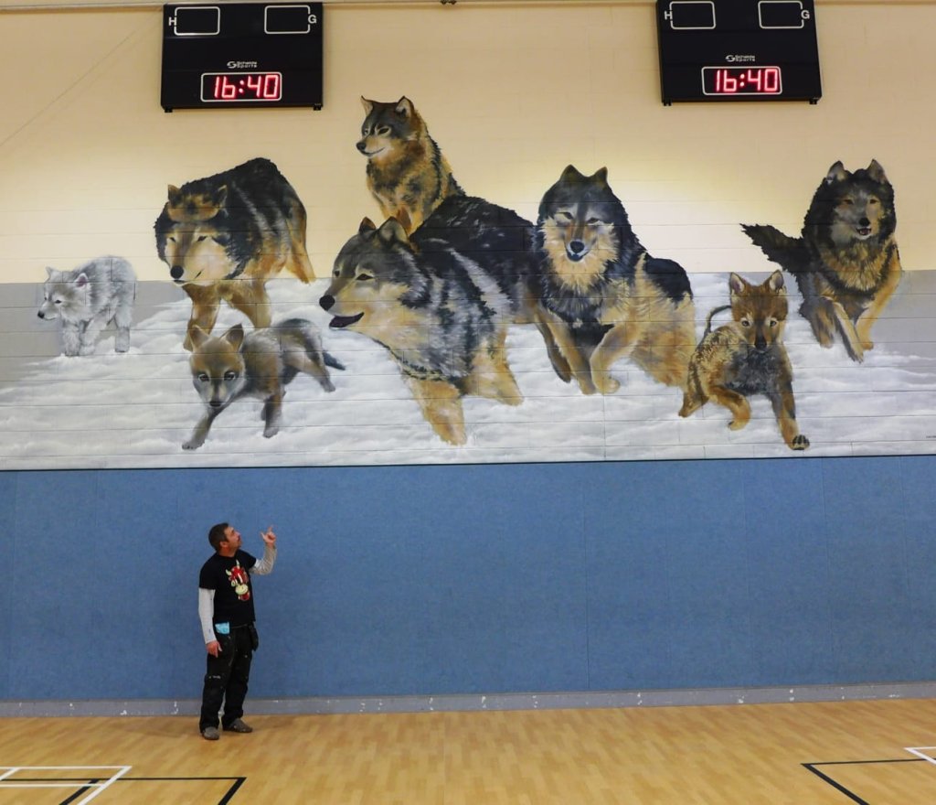 Mural artist Marc Delaye stands in the International School of Aberdeen gymnasium pointing up at a large mural depicting a pack of wolves standing on a snowy ledge above two digital scoreboards.