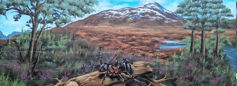Highland Landscapes, Wildlife & Scenic Murals